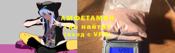 крисы Мегион