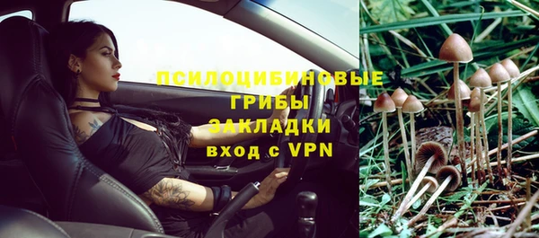 гидропоника Медвежьегорск