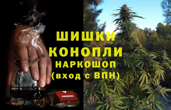 крисы Мегион